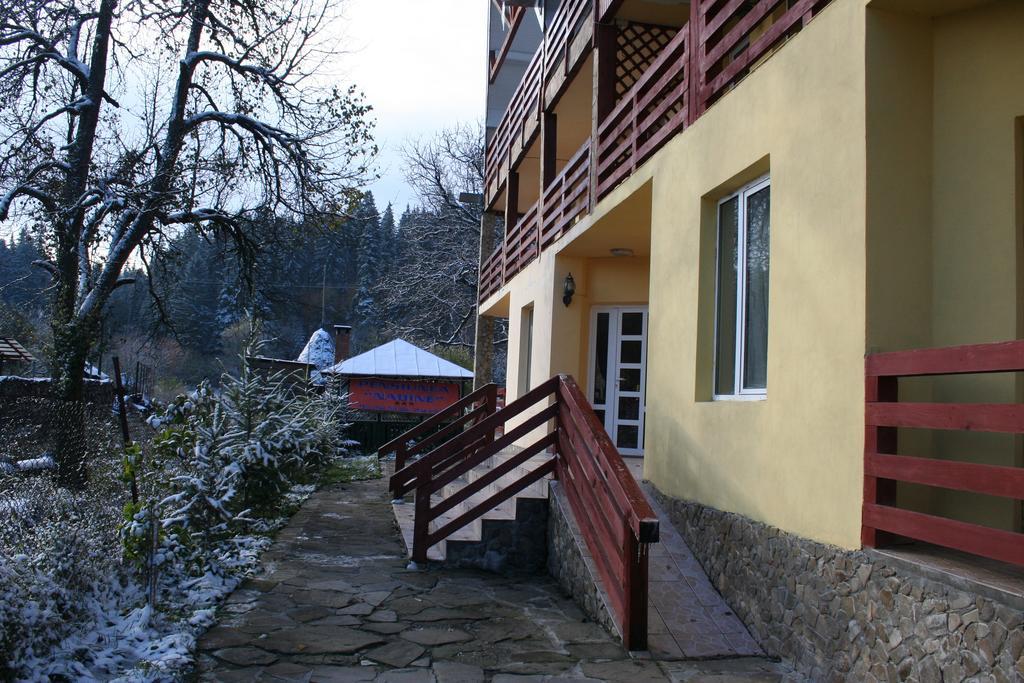 Hotel Pensiunea Nadine Agapia Exterior foto